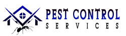 Pest Control Services in chennai