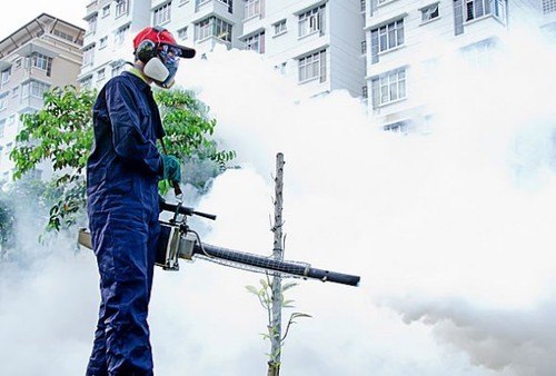 Fogging Services In Chennai