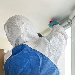 Pest Control Services in t nagar